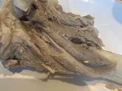 -老员外骨汤火锅(海州古城店)