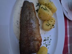 -布劳伽斯特豪夫哈尔施塔特宾馆