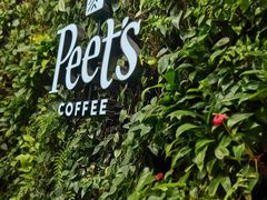 -Peet's Coffee皮爷咖啡(大学路店)