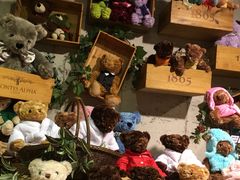 -济州岛泰迪熊博物馆