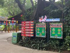 -广州长隆飞鸟乐园