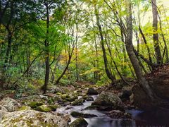 -丹东天桥沟景区