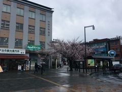 -中村藤吉(本店)
