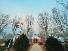 -九十九顶毡房(阜石路店)