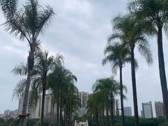 -南宁南湖公园