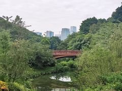 -云溪植物园
