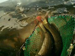 -官厅老勾渔馆(温泉店)