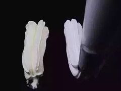 -美斯烘焙培训学院•蛋糕•面包•咖啡(宝安校区)