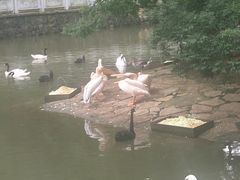 -黔灵山公园-南门售票处