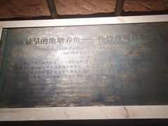 -信阳博物馆