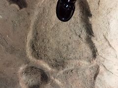 -湖南省地质博物馆