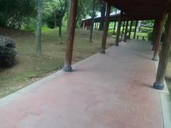 -金山公园
