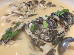 -柴米油盐(土菜院子店)