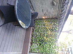 android_upload_pic-扬州东关街文昌阁桔子水晶酒店