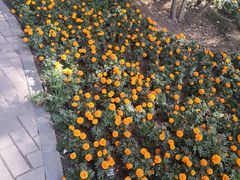 -远洋未来广场(育慧北路店)