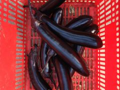 -天源吉布世温泉水乐园