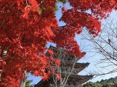 -醍醐寺