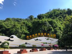 -西双版纳原始森林公园