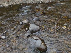 -关门山森林公园