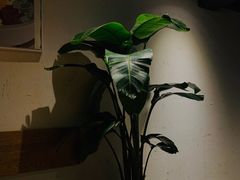 -韩见·韩式拌饭·炸鸡(石厦店)