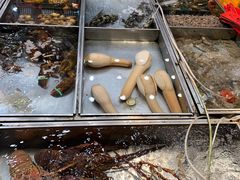 -湛江渔港·大排档(乐园路总店)