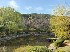 -棒棰岛宾馆景区