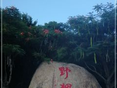 -野狸岛