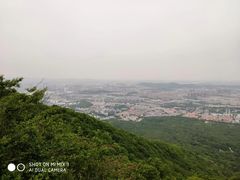 -紫金山山顶公园