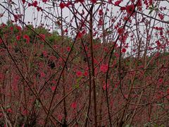 -白水带风景区体育公园