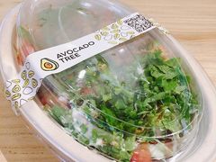 -油梨树AVOCADO TREE(嘉里中心店)