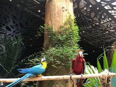 -杭州开元森泊度假乐园