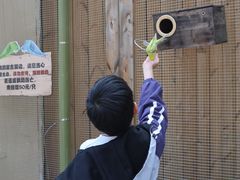 -成都欢乐谷