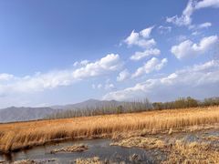 -野鸭湖国家湿地公园