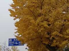 -南宫温泉水世界