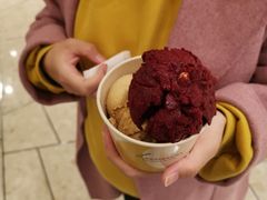 树莓雪葩-LUNEURS月乐诗 冰淇淋咖啡(环贸店)