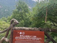 -秦岭终南山世界地质公园翠华山景区