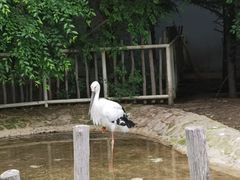 -齐齐哈尔龙沙动植物园