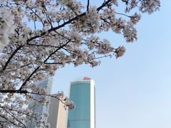 -西北湖绿化广场