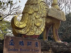 -云南勐巴娜西珍奇园