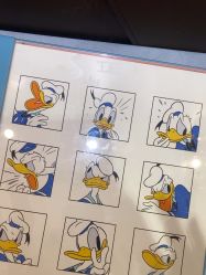 -爱儿美儿童摄影(奥森公园店)