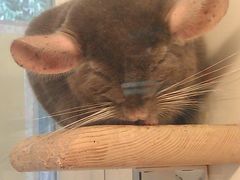 -龙猫仔乐园(惠福东路店)