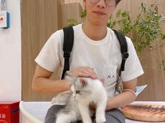 -COLOR PETS 撸猫馆·购猫·猫咖(长风大悦城店)