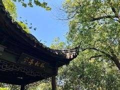 -上海佘山国家森林公园天马山园