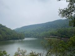 -桃花岭景区
