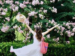 -杭州城北体育公园