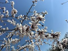 -大兴滨河森林公园