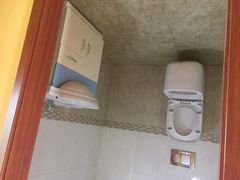 -金山农民画村-枫泾波兰倒置屋