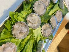 -杨记齐齐哈尔烤肉(总店)