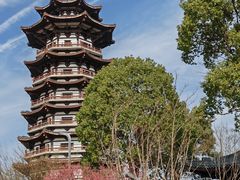 -洋湖国家湿地公园