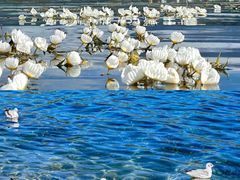 -丽江泸沽湖景区